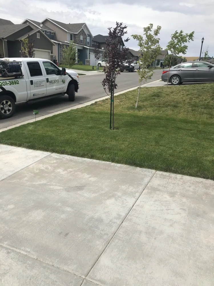 Reliable lawn care service in Eureka, UT by Nielsen's Lawn Care and Pest control
