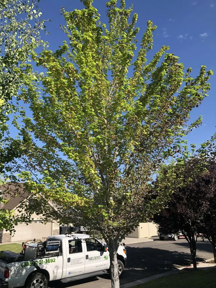Professional garden landscaping in Eureka, UT - Nielsen's Lawn Care and Pest control