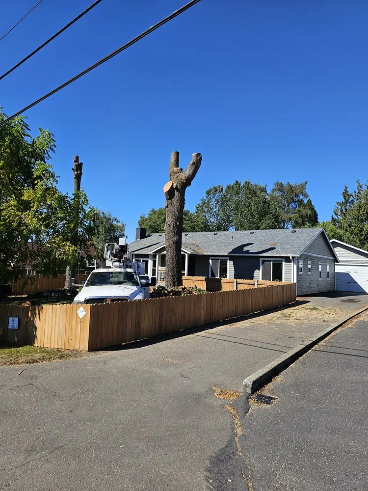 Custom yard cleanup service experts serving Naselle, WA - Nielson & Son's Tree Service
