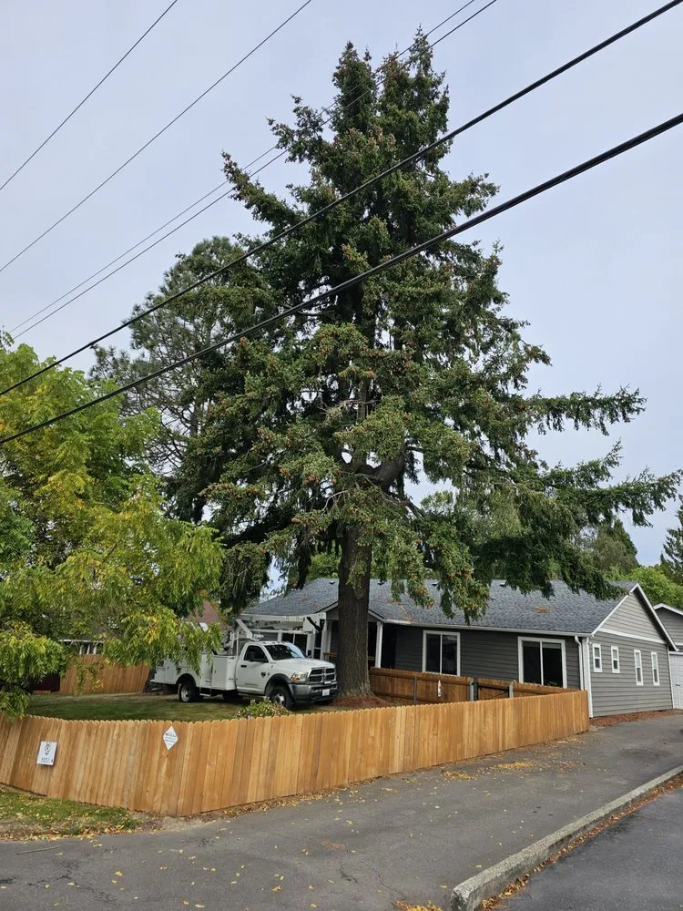 Affordable landscape installation experts serving Naselle, WA - Nielson & Son's Tree Service
