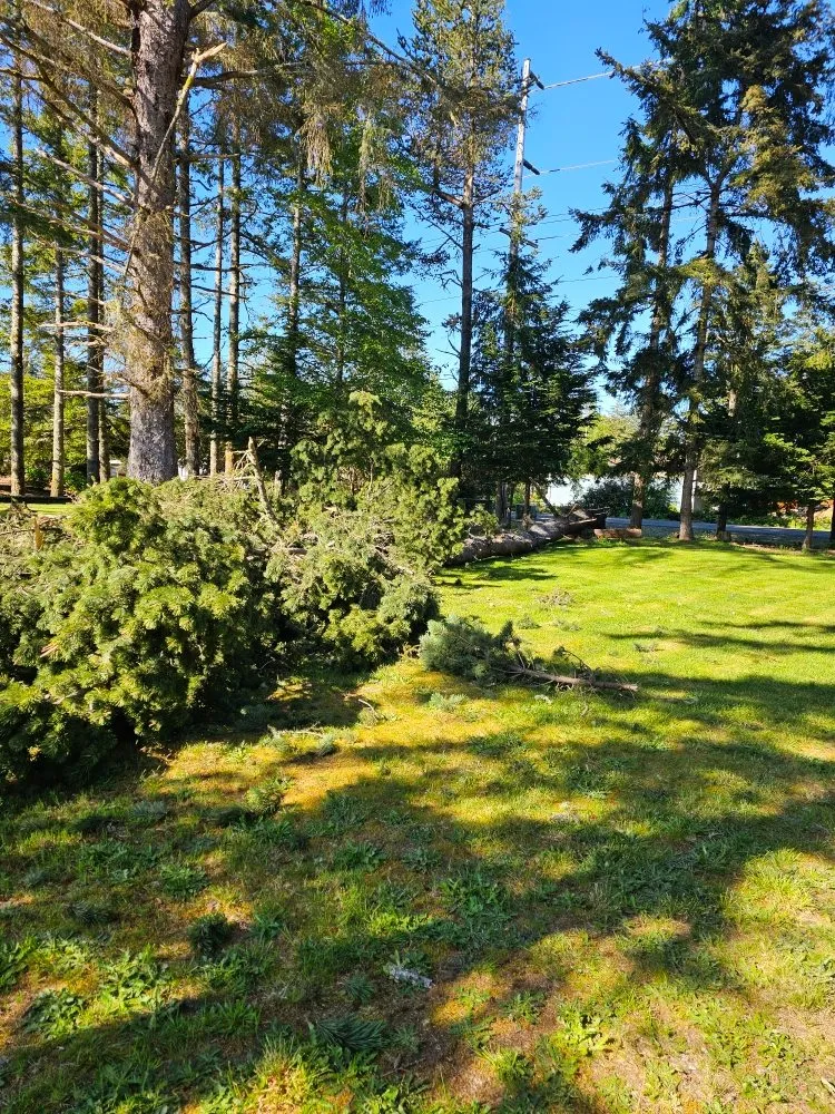 Reliable garden landscaping in Naselle, WA by Nielson & Son's Tree Service