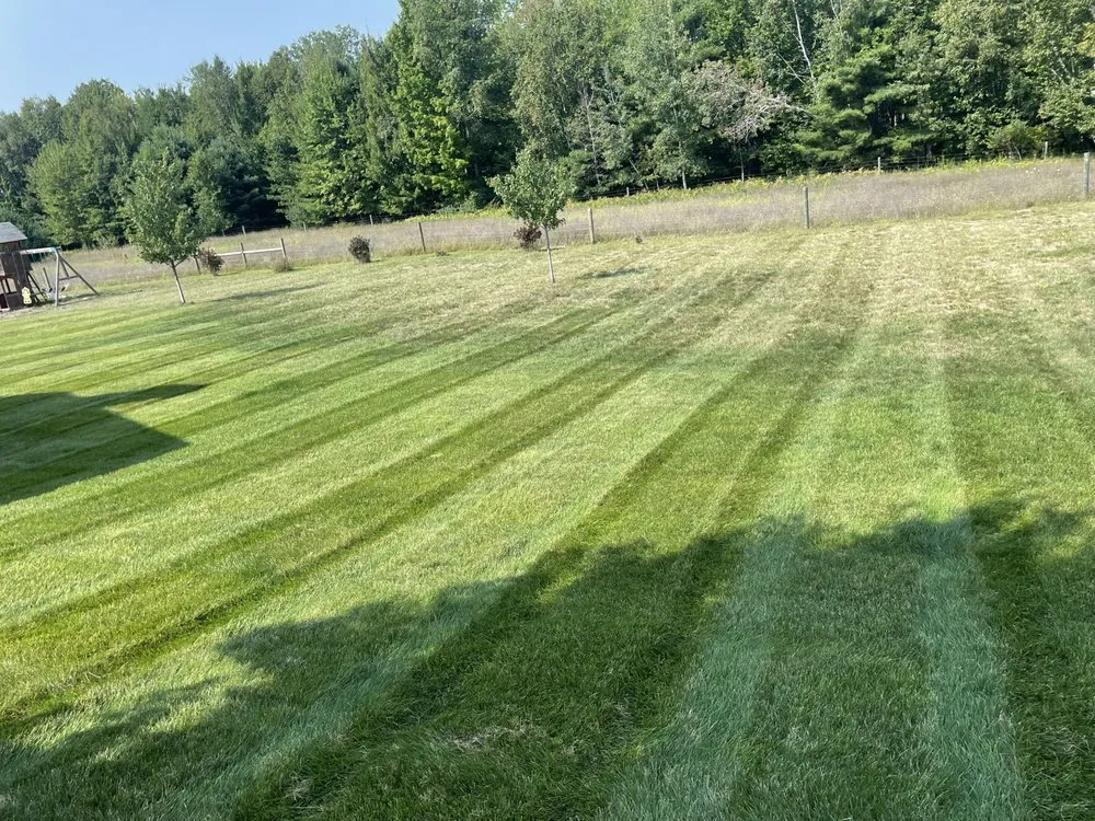 Trusted yard cleanup service experts serving Williamsburg, MI - Nienhouse Outdoors