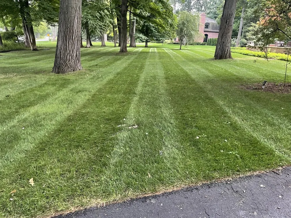 Professional garden landscaping with custom design across Williamsburg, MI - Nienhouse Outdoors