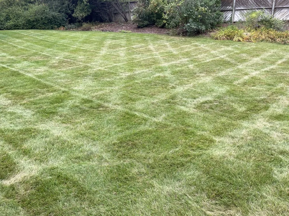Affordable garden landscaping in Williamsburg, MI by Nienhouse Outdoors