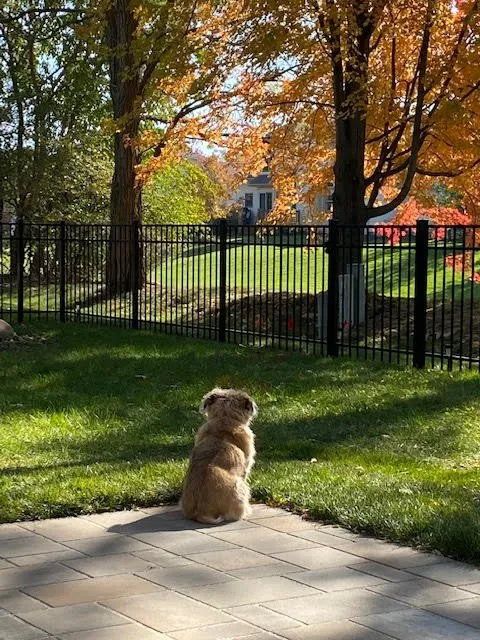 Top-rated landscape installation for year-round maintenance across Woodstock, IL - Nierman Landscape & Design