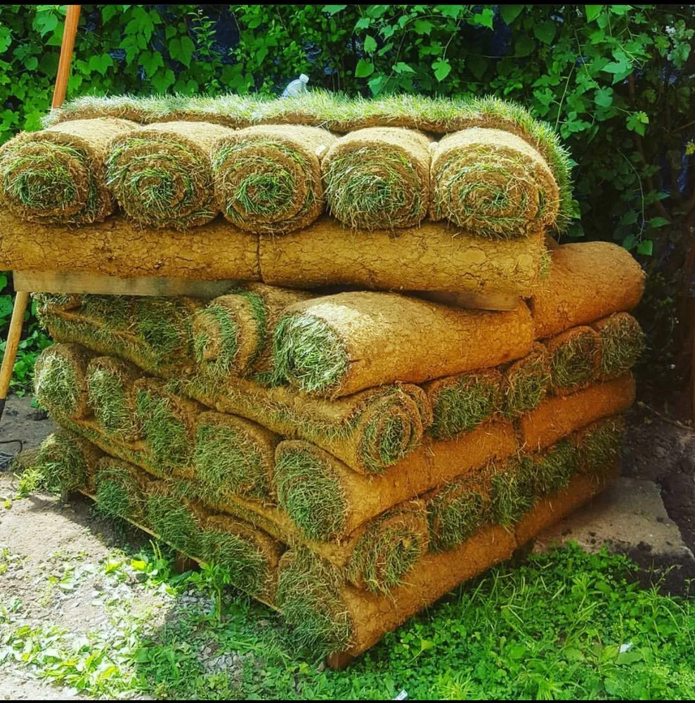 Reliable yard cleanup service for homes in Staten Island, NY by Nieto & Sons