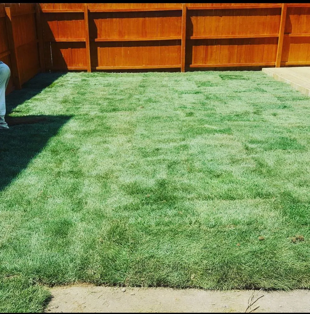 Expert landscape installation near you in Staten Island, NY by Nieto & Sons