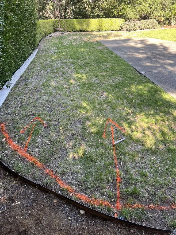 Custom yard maintenance for year-round maintenance across Windsor, CA - Nieto Landscaping & Maintenance