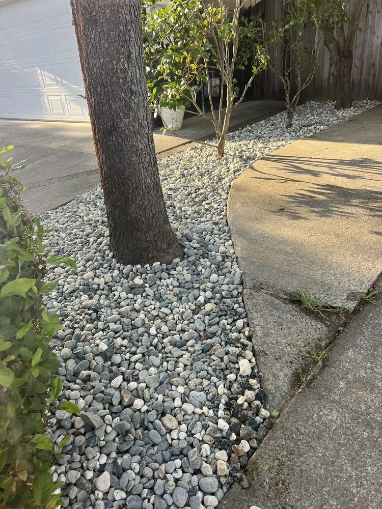 Professional landscape installation for residential properties in Windsor, CA by Nieto Landscaping & Maintenance