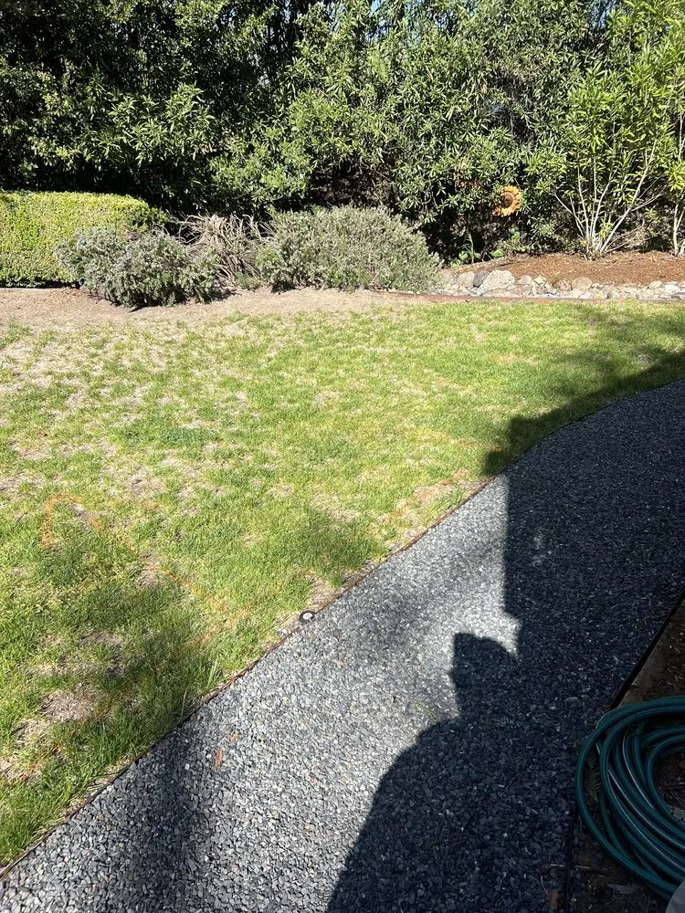Professional residential landscaping experts serving Windsor, CA - Nieto Landscaping & Maintenance