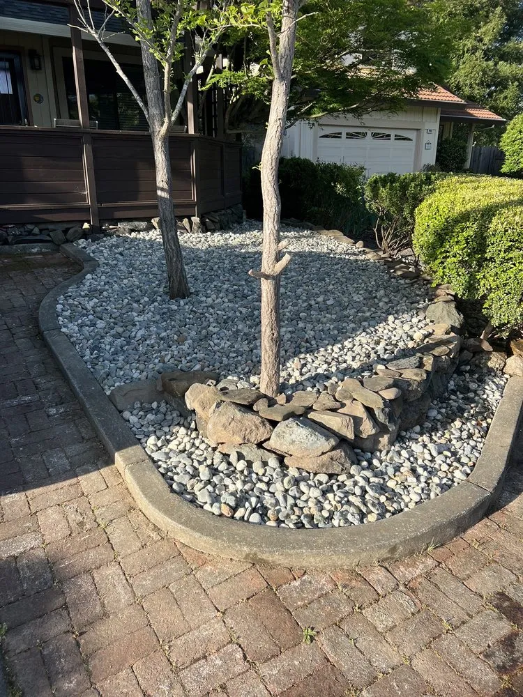 Custom landscaping services for year-round maintenance across Windsor, CA - Nieto Landscaping & Maintenance