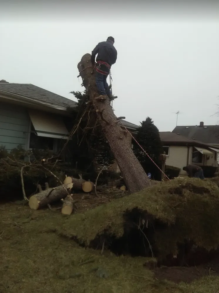 Affordable garden landscaping experts serving Kenosha, WI - Nieto Landscaping and Tree Services