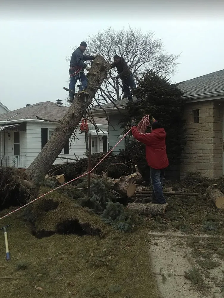Top-rated lawn mowing service experts serving Kenosha, WI - Nieto Landscaping and Tree Services