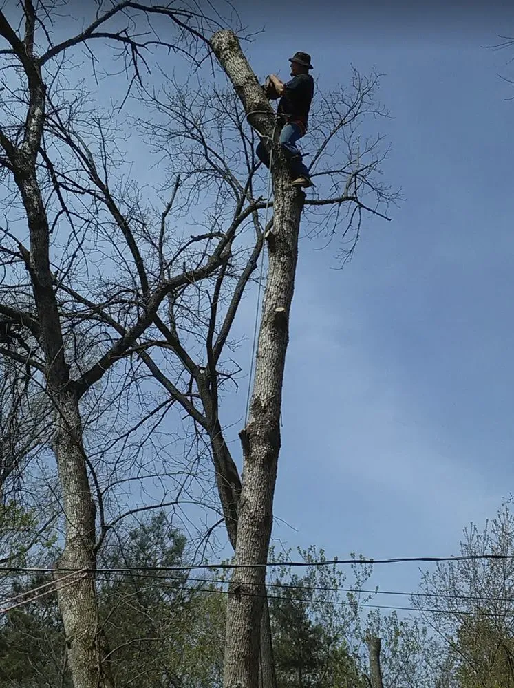 Local lawn care service in Kenosha, WI by Nieto Landscaping and Tree Services