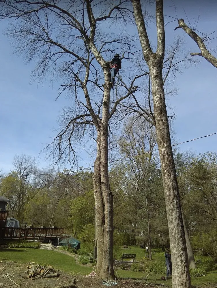 Reliable residential landscaping in Kenosha, WI - Nieto Landscaping and Tree Services