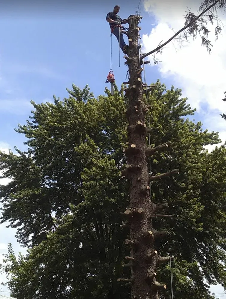 Custom yard maintenance for beautiful yards across Kenosha, WI - Nieto Landscaping and Tree Services