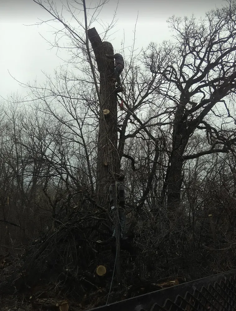 Custom landscape design experts serving Kenosha, WI - Nieto Landscaping and Tree Services