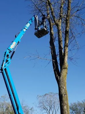 Nieto Landscaping and Tree Services Logo