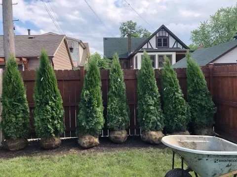 Reliable garden landscaping in Chicago, IL - Nieto Landscaping