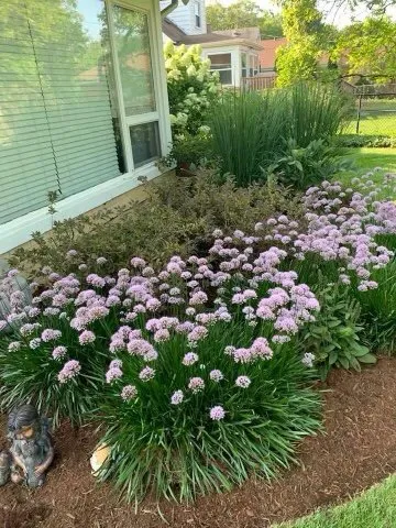 Top-rated lawn care service in Chicago, IL - Nieto Landscaping