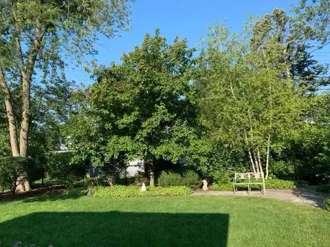 Local landscape design in Chicago, IL - Nieto Landscaping