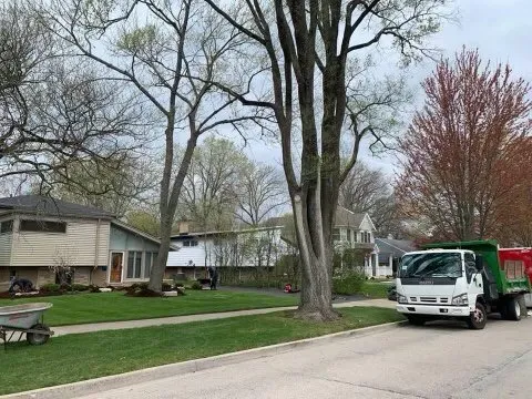 Affordable outdoor landscaping for beautiful yards in Chicago, IL by Nieto Landscaping