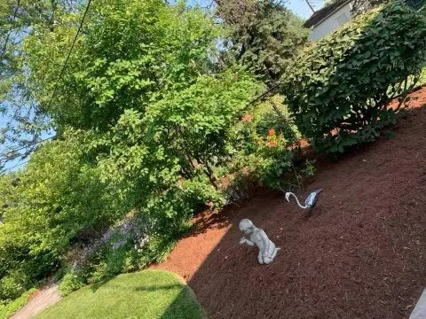 Reliable lawn care service for outdoor upgrades in Chicago, IL by Nieto Landscaping