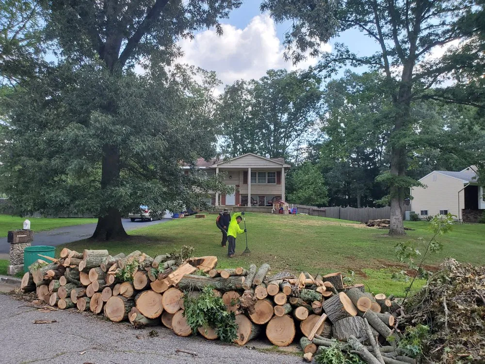 Top-rated landscaping services for residential properties in New Brunswick, NJ by NIETO Landscaping