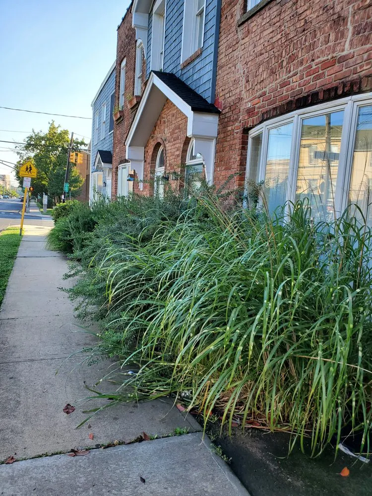 Trusted outdoor landscaping for residential properties across New Brunswick, NJ - NIETO Landscaping