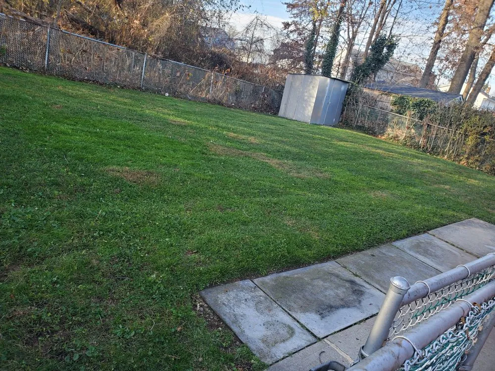 Trusted yard cleanup service for homes in New Brunswick, NJ by NIETO Landscaping