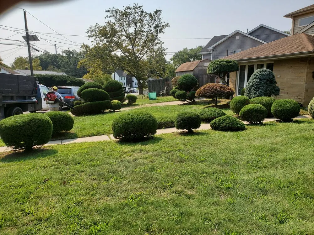 Professional yard cleanup service in New Brunswick, NJ - NIETO Landscaping