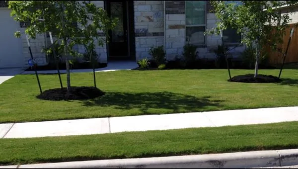 Nieto Lawn Services Logo