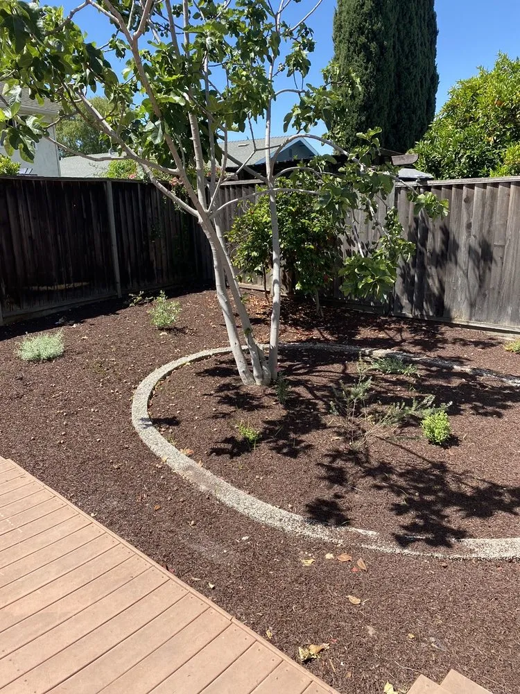 Professional landscaping services for beautiful yards in Santa Clara, CA by Nieto's Landscaping And Gardening