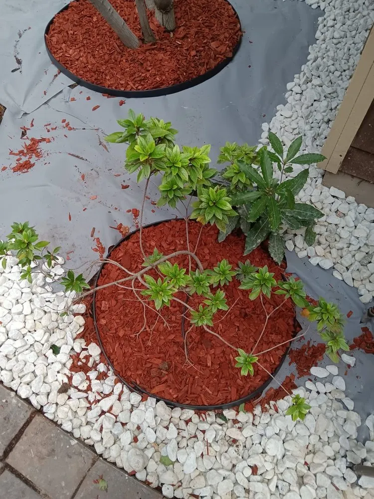 Reliable garden landscaping experts serving Santa Clara, CA - Nieto's Landscaping And Gardening