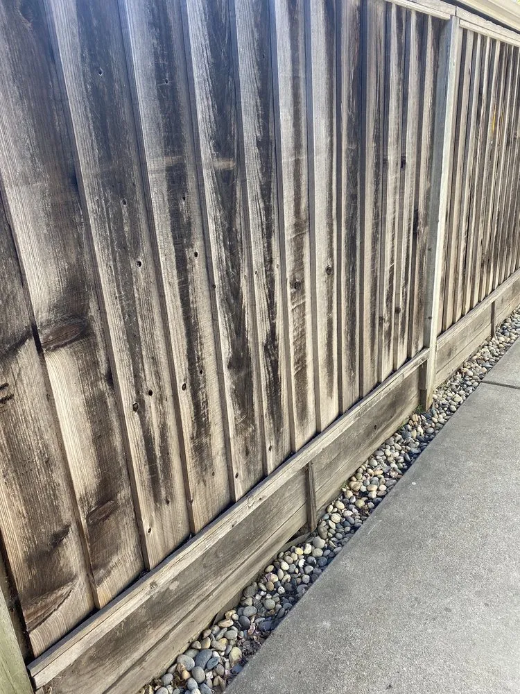 Professional landscape design with custom design across Santa Clara, CA - Nieto's Landscaping And Gardening