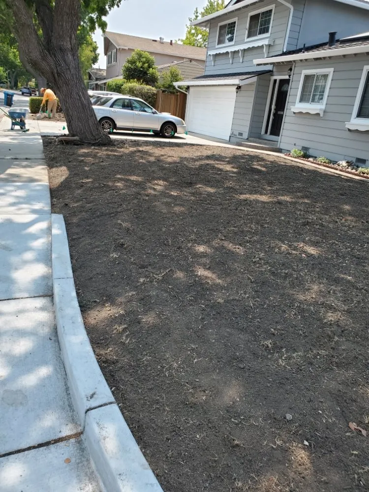 Local residential landscaping in Santa Clara, CA by Nieto's Landscaping And Gardening