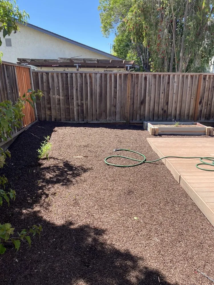 Affordable yard maintenance in Santa Clara, CA by Nieto's Landscaping And Gardening