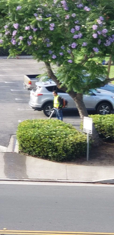 Affordable garden landscaping experts serving Santa Ana, CA - Nieves Landscape