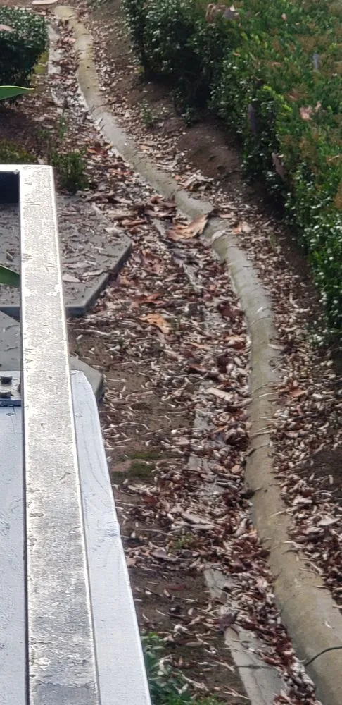 Affordable landscape design in Santa Ana, CA - Nieves Landscape