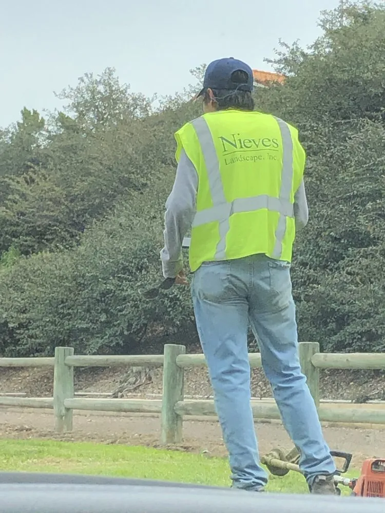 Reliable outdoor landscaping with custom design in Santa Ana, CA by Nieves Landscape