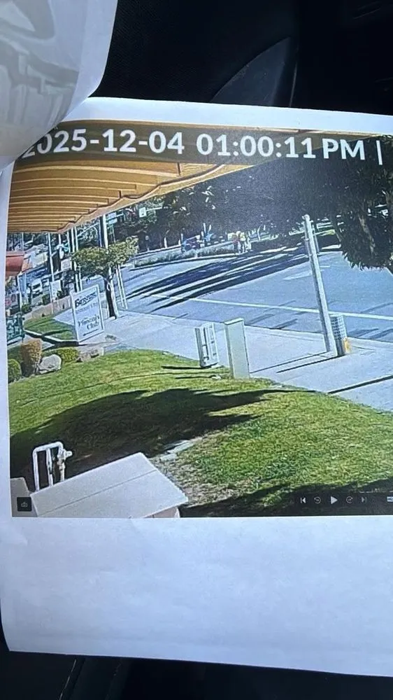 Reliable outdoor landscaping experts serving Santa Ana, CA - Nieves Landscape