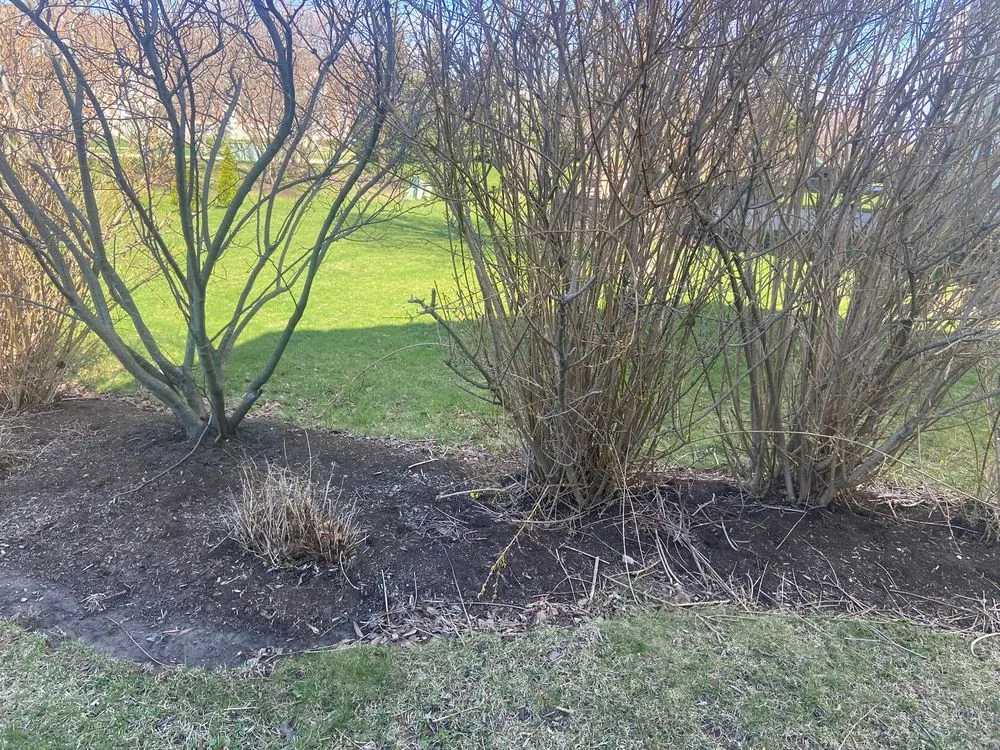 Expert yard maintenance near you in Elgin, IL by Nieves Landscaping