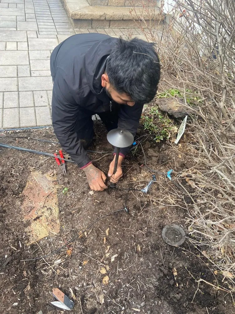 Trusted yard cleanup service experts serving Elgin, IL - Nieves Landscaping