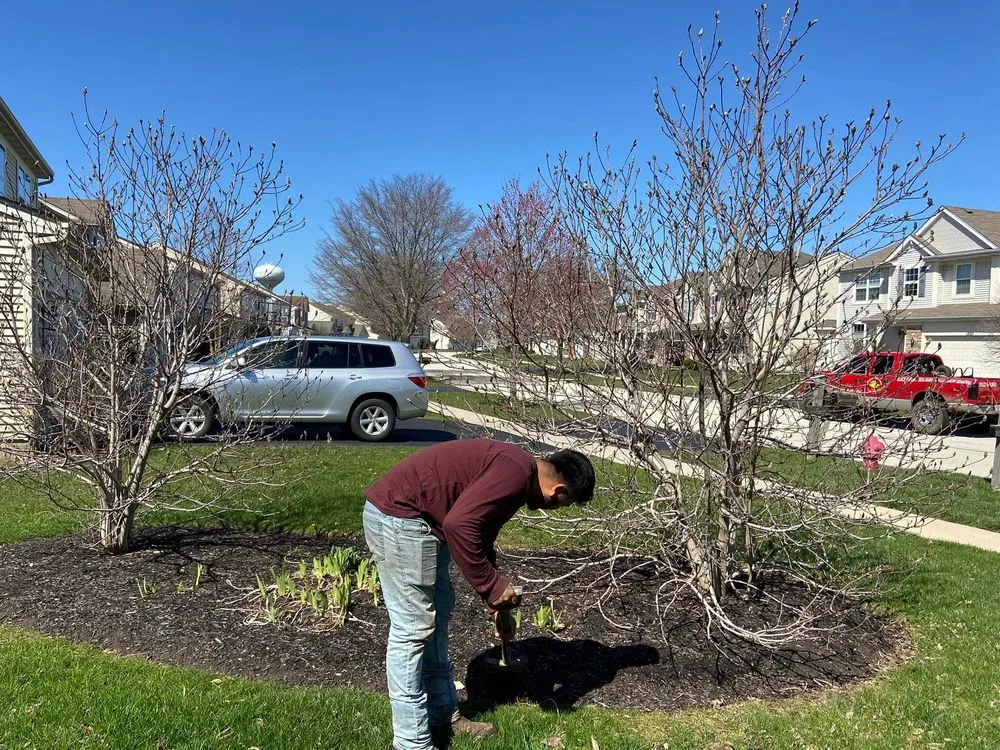 Professional landscape installation in Elgin, IL - Nieves Landscaping