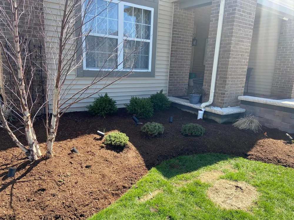 Local lawn care service for beautiful yards across Elgin, IL - Nieves Landscaping