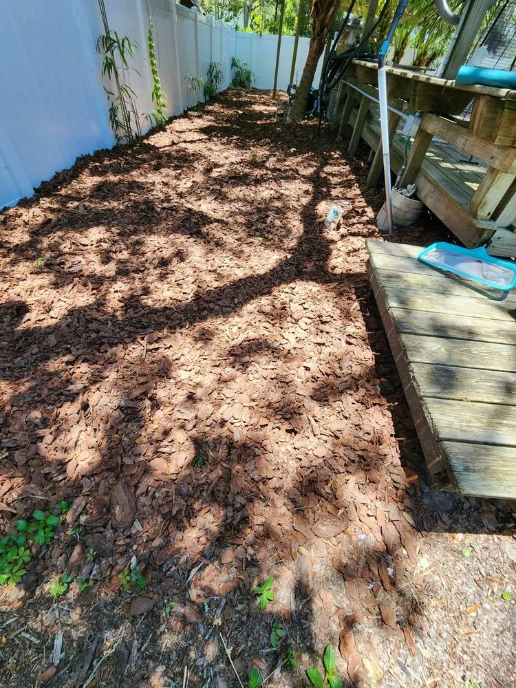 Trusted landscape design for year-round maintenance across Seminole, FL - Nieves Lawn Care