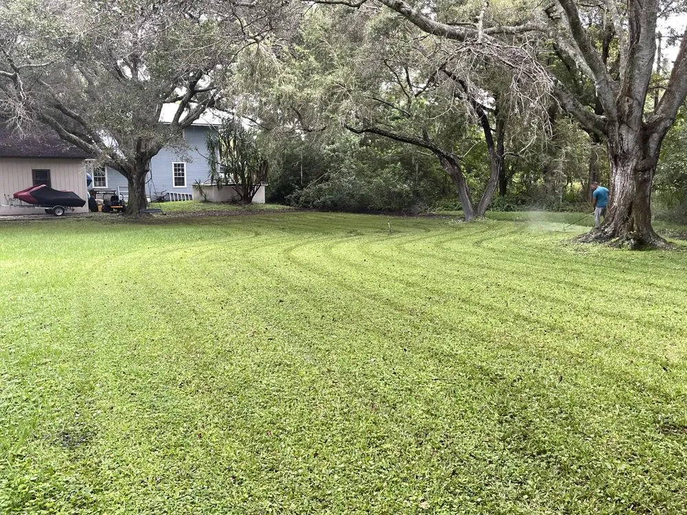 Affordable landscaping services in Seminole, FL by Nieves Lawn Care