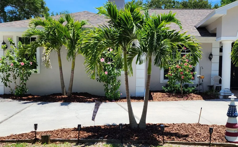 Top-rated residential landscaping in Seminole, FL - Nieves Lawn Care