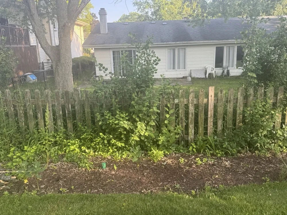 Affordable lawn care service for outdoor upgrades in Elgin, IL by Nieves Patios And Lawn Care