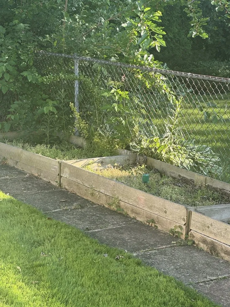 Custom landscaping services for homes in Elgin, IL by Nieves Patios And Lawn Care